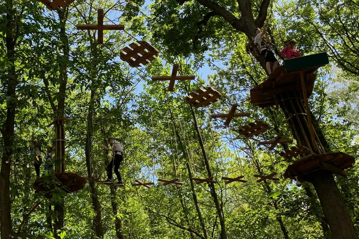 Des personnes naviguent sur un parcours de cordes au milieu d'arbres verts par une journée ensoleillée.