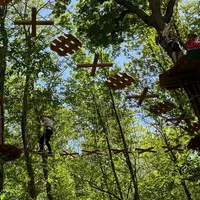 Des personnes naviguent sur un parcours de cordes au milieu d'arbres verts par une journée ensoleillée. &copy; AccroCamp