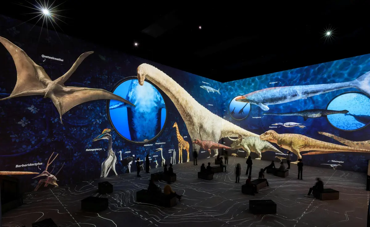 Une grande exposition immersive présentant des dinosaures et des reptiles marins projetés sur les murs, avec des silhouettes de personnes qui les observent.