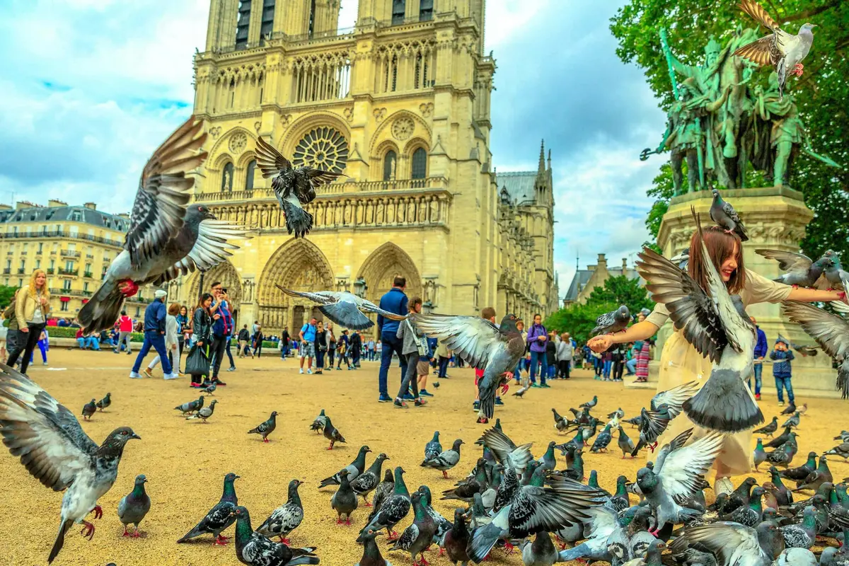 Vol de pigeons et rassemblement de personnes devant la cathédrale Notre-Dame par une journée nuageuse.