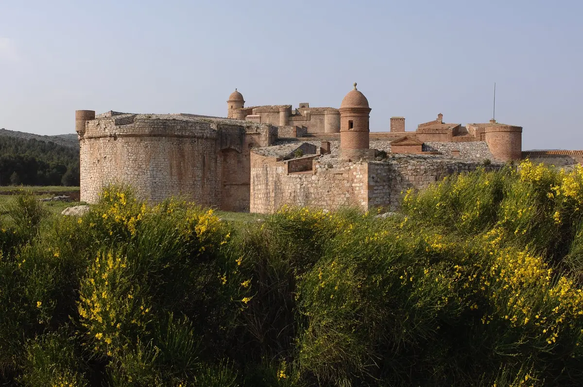 Forteresse en pierre avec des tours rondes et des dômes, partiellement entourée de buissons à fleurs jaunes sous un ciel clair.