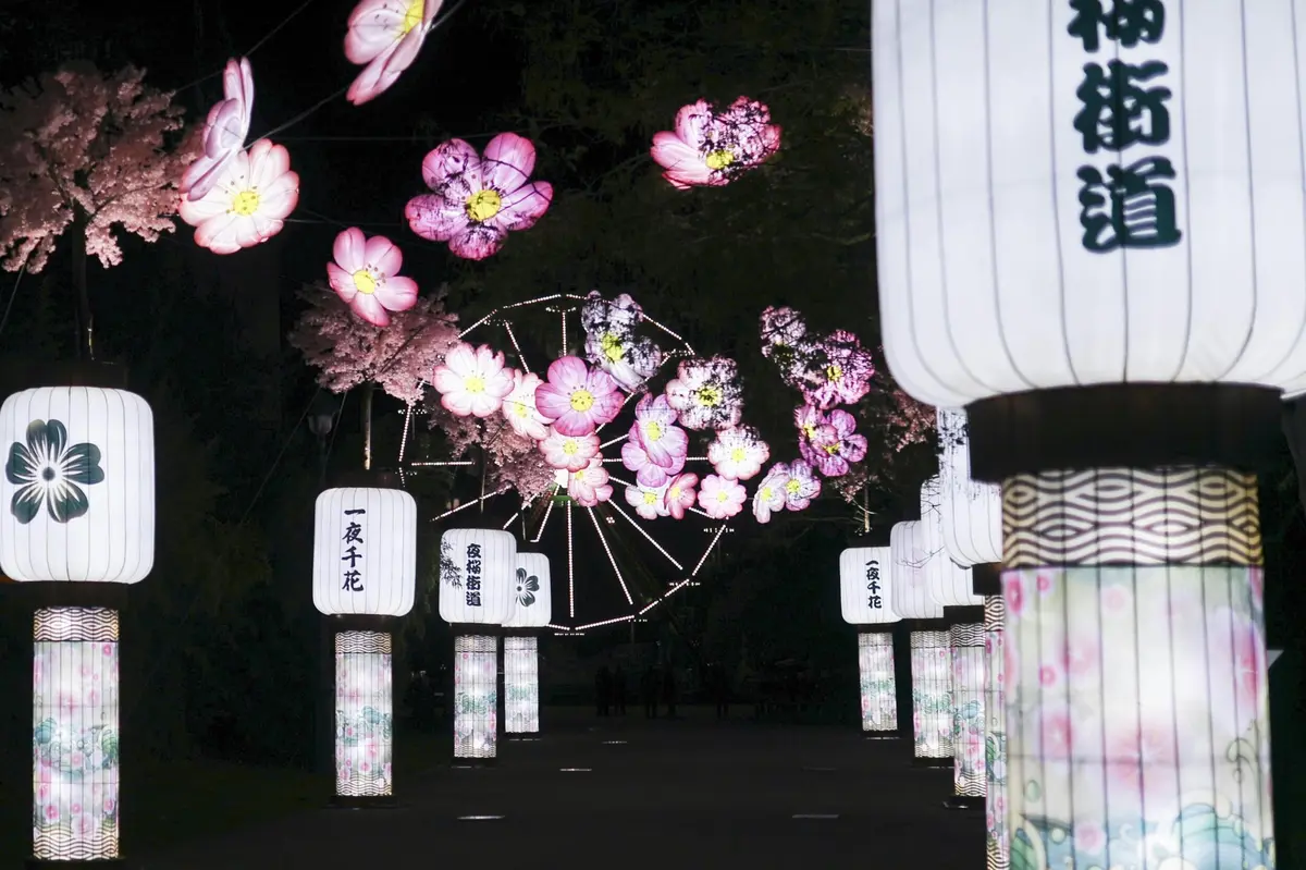 Illuminated paper lanterns and giant floral installations light up a pathway at night, creating a festive atmosphere.