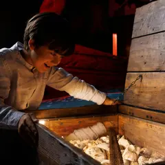 Top 8 des idées sorties pour ce week-end de l'Assomption dans la Seine-Maritime (du 14 au 16 août 2026)
