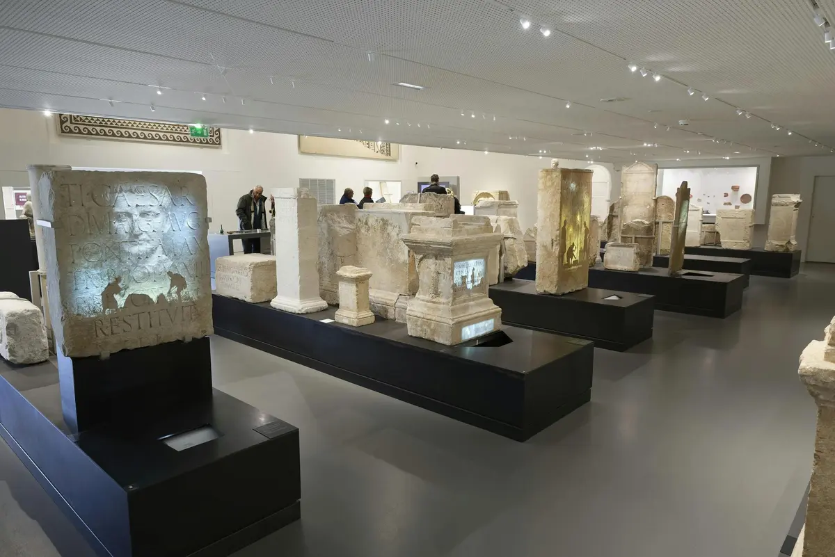 collections de stèles