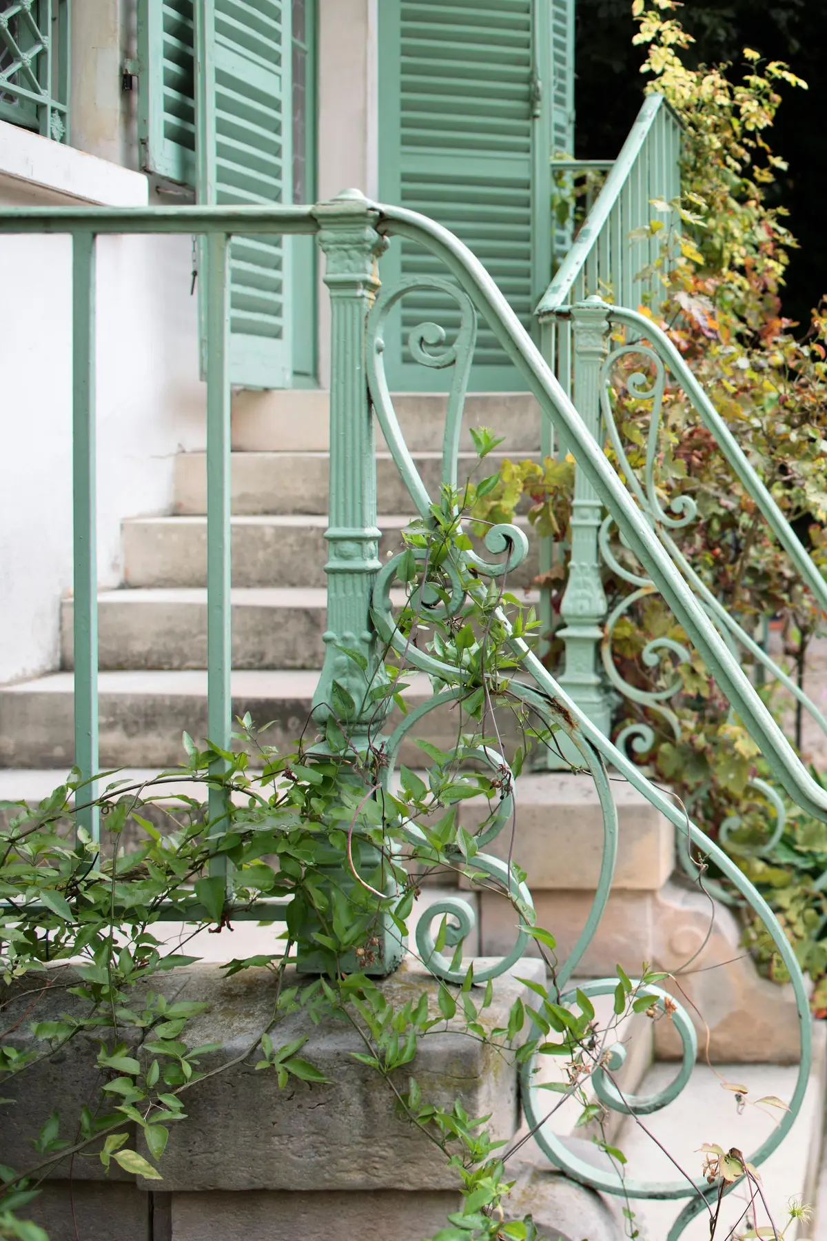 Une rampe métallique verte avec des motifs ornés et des plantes grimpantes, à côté de marches en pierre et d'un bâtiment aux volets verts.
