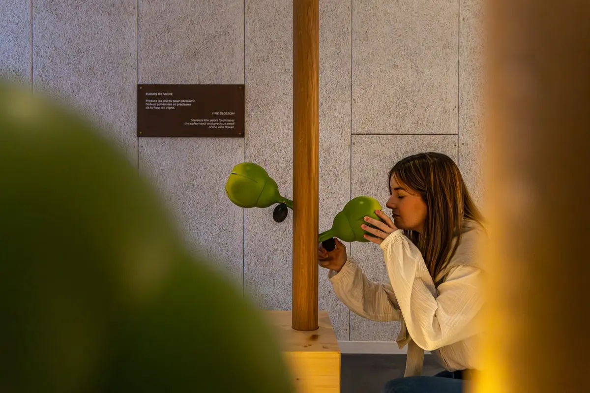 Use your five senses to discover champagne