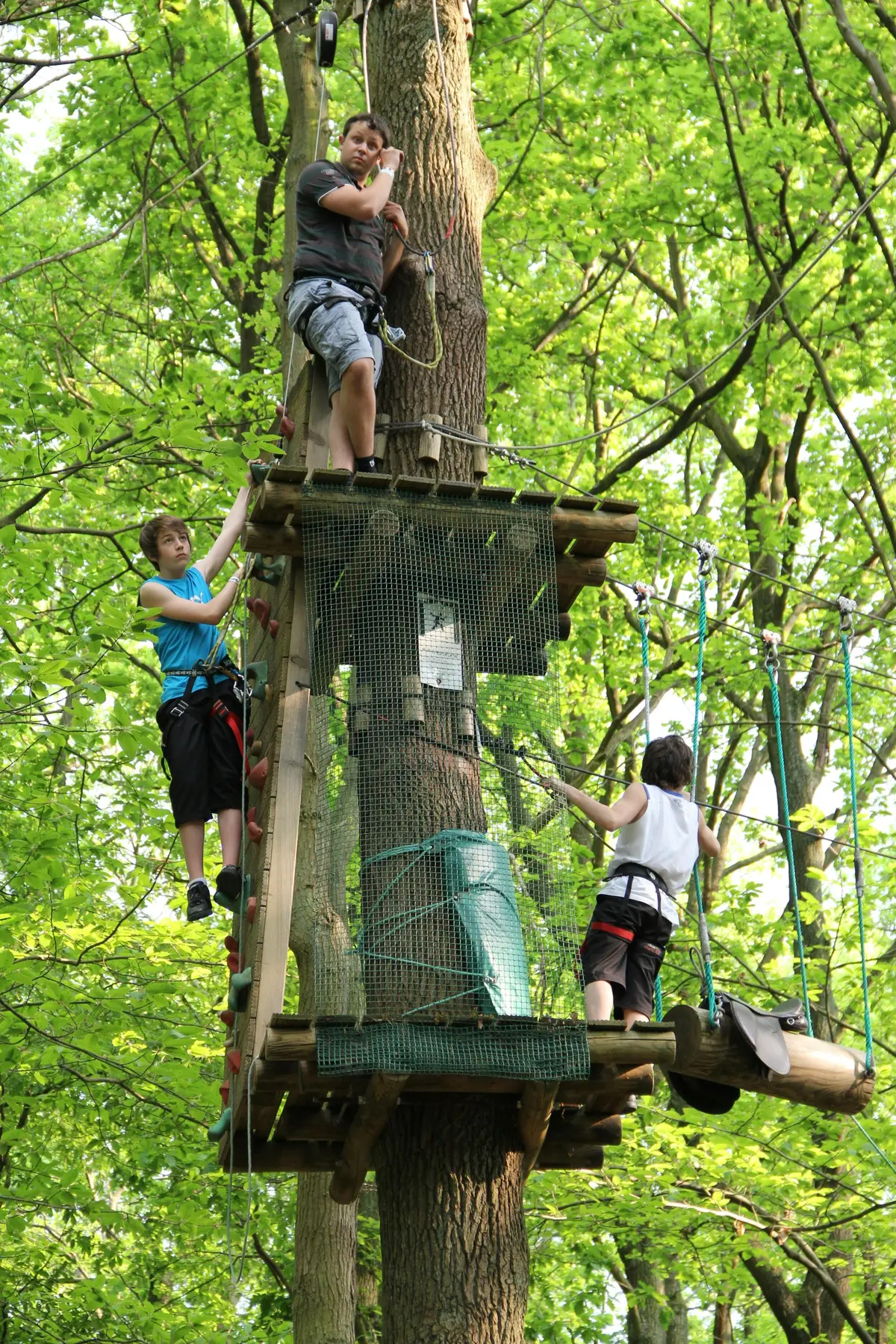 Trois personnes portant des harnais évoluent sur un parcours de cordes dans une forêt luxuriante, l'une se tenant sur une plate-forme et les deux autres grimpant en contrebas.