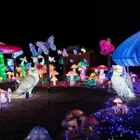 Luminescences &copy; Zoo Amnéville