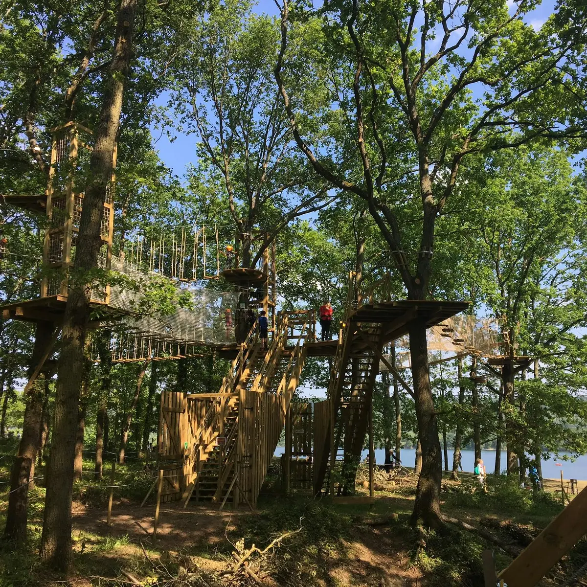 Structures en bois surélevées et passerelles entre les arbres d'une forêt, avec vue sur un lac en arrière-plan.