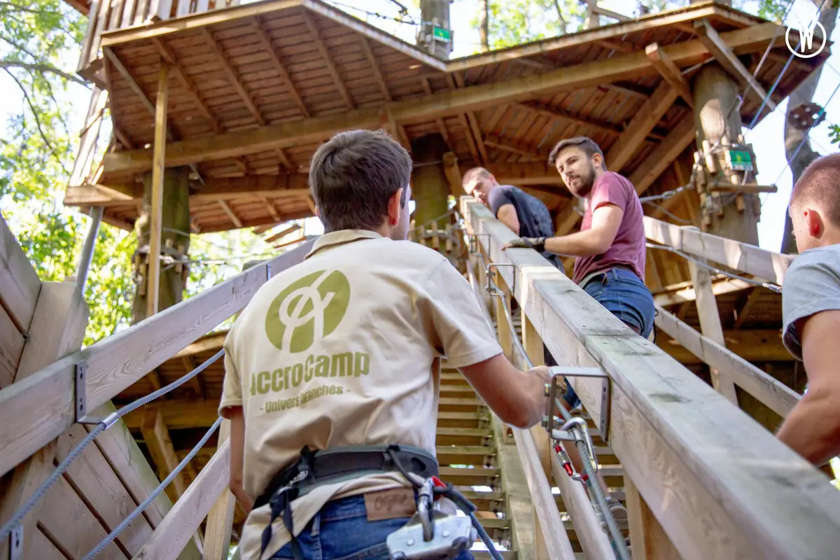 Des personnes harnachées grimpent un escalier en bois dans un parc d'aventures au sommet d'un arbre. La chemise d'une personne porte l'inscription AeroCamp.