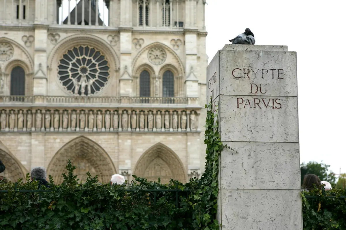 Pilier en pierre avec texte Crypte du Parvis, pigeons au sommet, lierre grimpant sur le côté, et une cathédrale avec des fenêtres cintrées en arrière-plan.