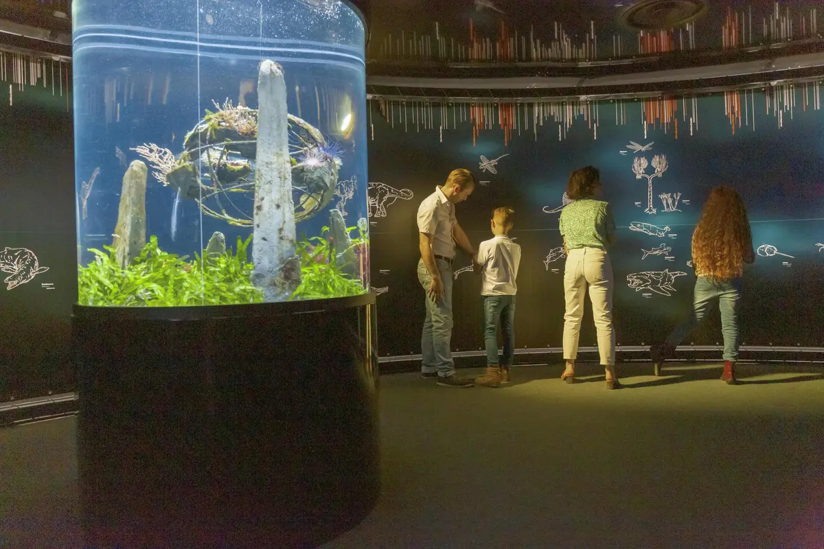 Trois personnes, deux adultes et un enfant, observent des écrans muraux dans un aquarium faiblement éclairé doté d'un grand réservoir cylindrique.