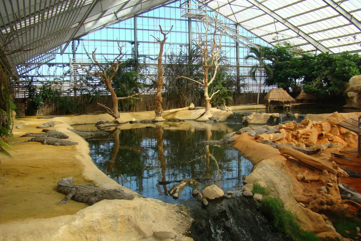 Habitat zoologique intérieur avec un étang, un terrain rocailleux, des arbres dénudés et des plantes tropicales environnantes. Plafond et murs en verre visibles.