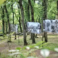 Exposition en plein air dans une forêt avec des photographies historiques présentées sur des cadres métalliques parmi les arbres. DR
