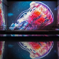 Méduses colorées projetées sur un écran au-dessus d'une surface d'eau sombre et réfléchissante, créant un effet de miroir. &copy; © Cultuirespaces