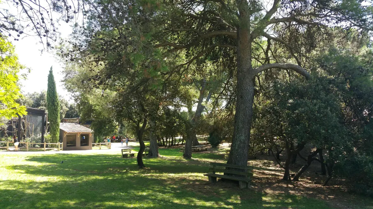 Un parc ombragé avec de grands arbres, un banc en bois, une pelouse et quelques personnes visibles à l'arrière-plan près d'un bâtiment.