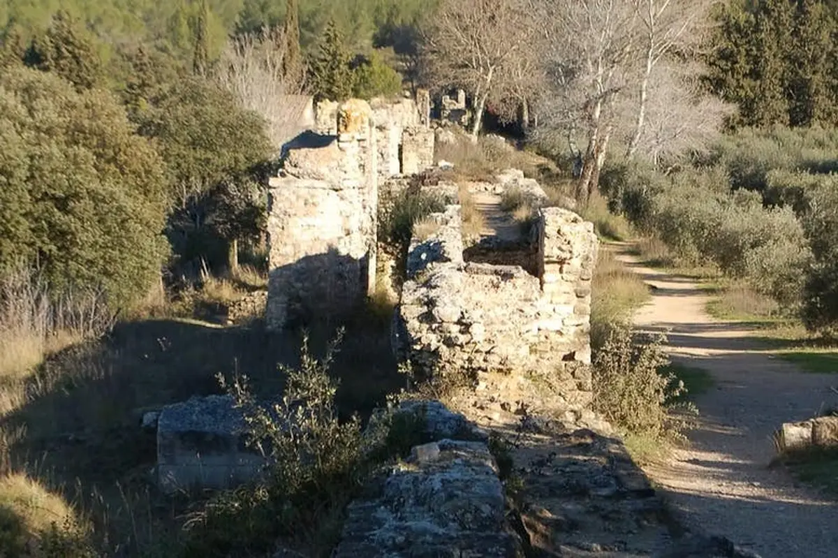 Anciennes ruines en pierre entourées d'arbres et de buissons sous un ciel clair, avec un chemin de terre sur le côté droit.