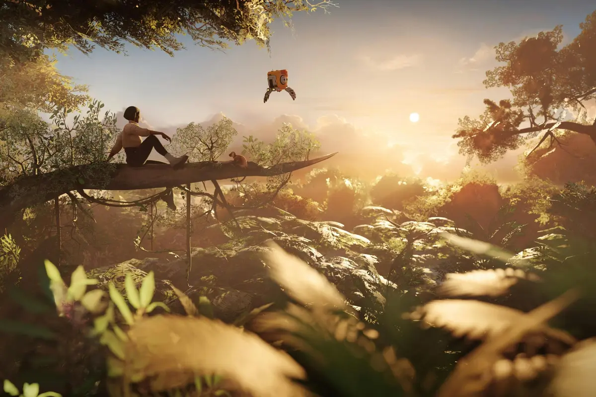 Des vues à couper le souffle