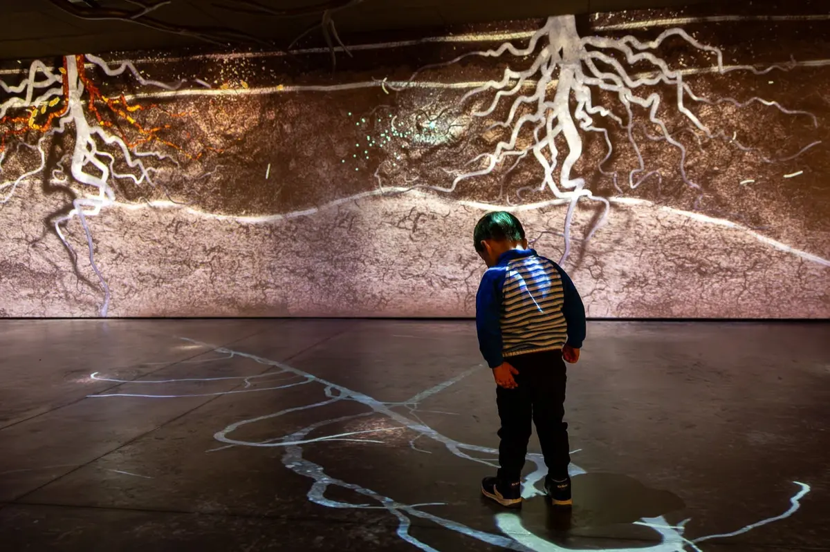 Have fun with the roots