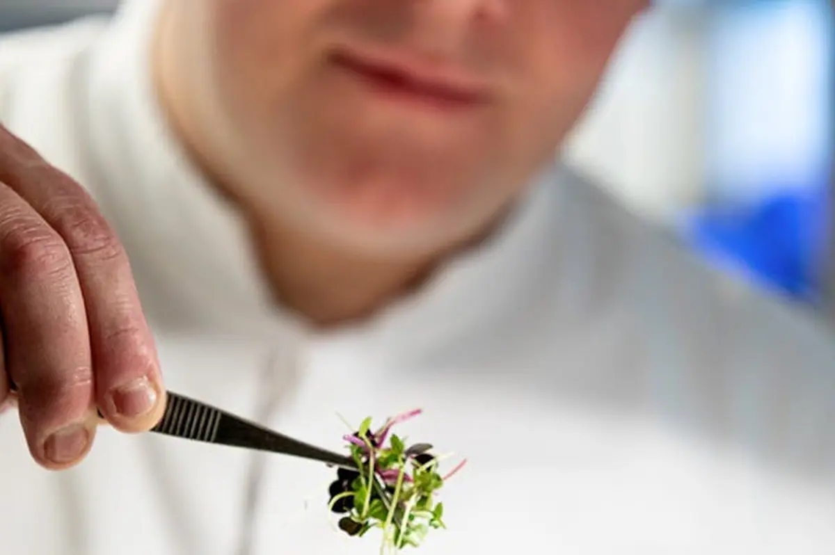 Tour Eiffel : Repas à Madame Brasserie