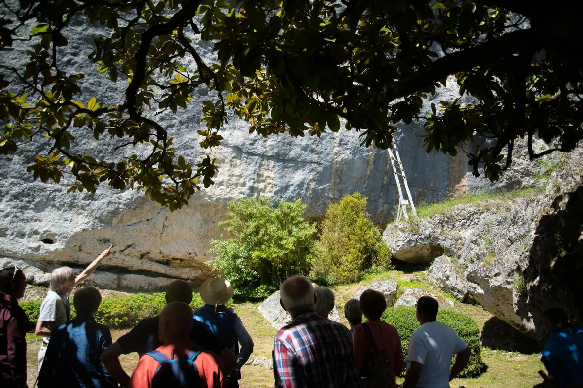 Un groupe de personnes se tient sous des arbres, regardant une falaise rocheuse sur laquelle est appuyée une échelle en bois.
