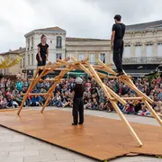 128 kilos de mélèze