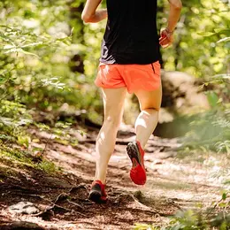 13ème Trail de la Voie Romaine