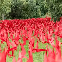 14201 drapeaux pour la paix