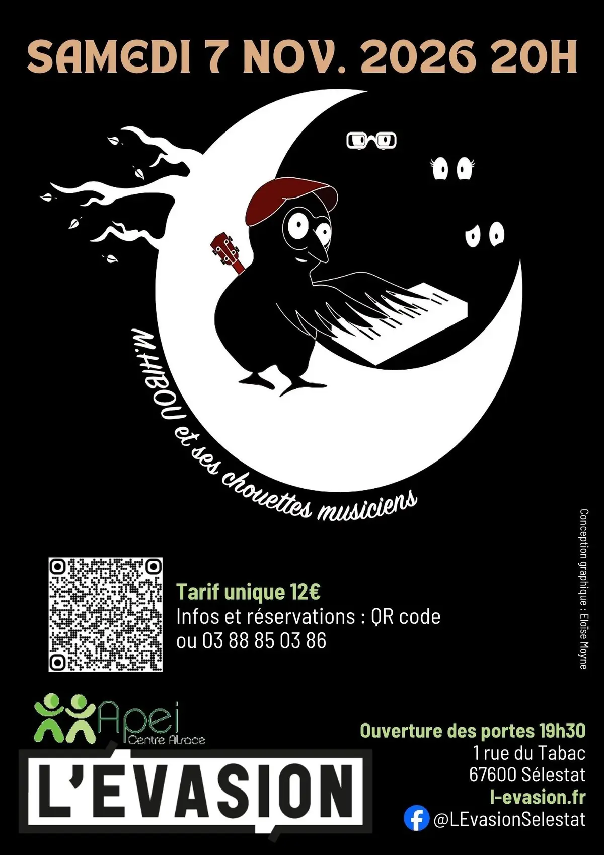 Spectacle M.Hibou et ses chouettes musiciens
