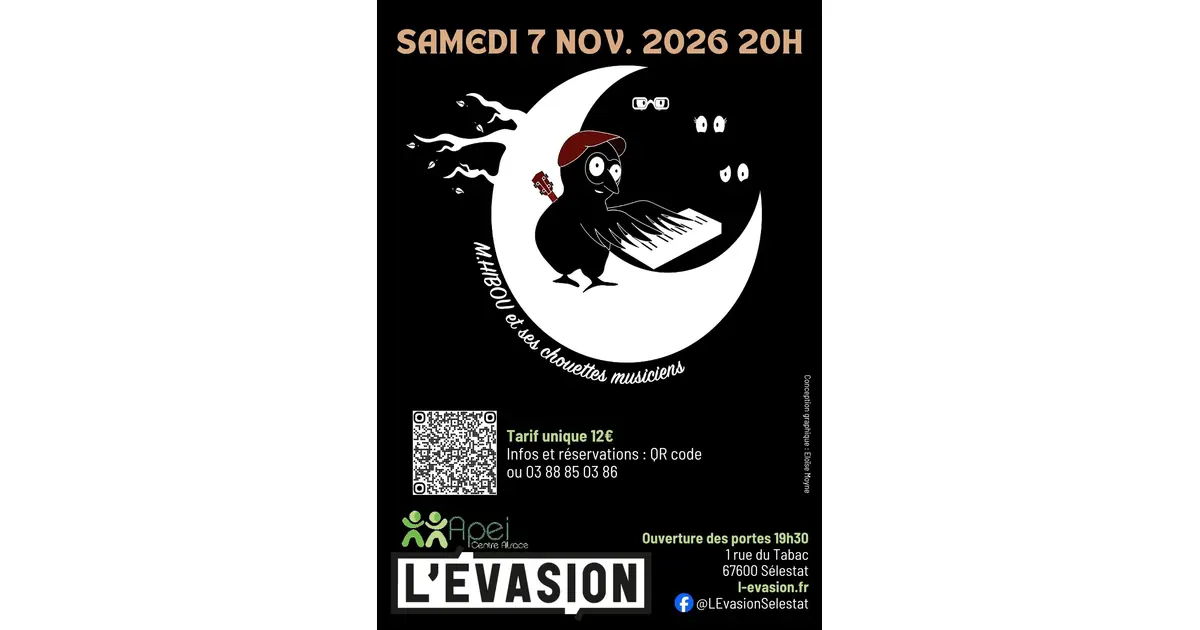 Spectacle M.Hibou et ses chouettes musiciens