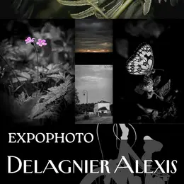 Exposition photographique de Mr DELAGNIER Alexis