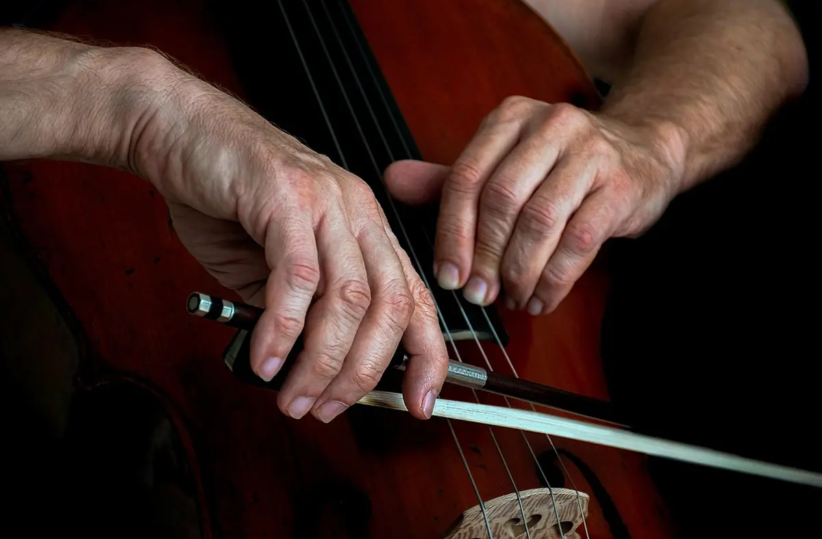 15e Festival Cordes & Cies