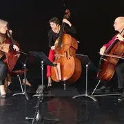 15e festival Cordes et Compagnies