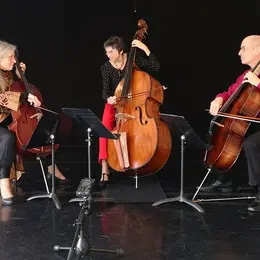 15e festival Cordes et Compagnies