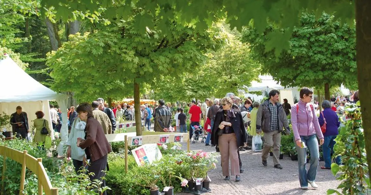 Les amoureux des plantes et des jardins se donnent rendez-vous lors du traditionnel Marché aux plantes du Zoo de Mulhouse
