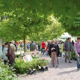 Marché aux plantes du Zoo de Mulhouse 2027