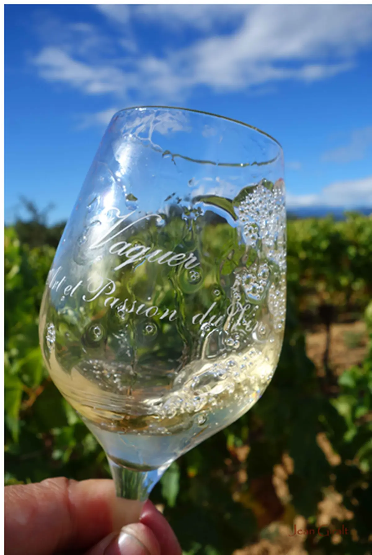15éme Balade En Vigne