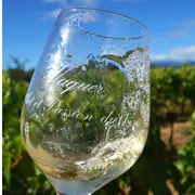15éme Balade En Vigne