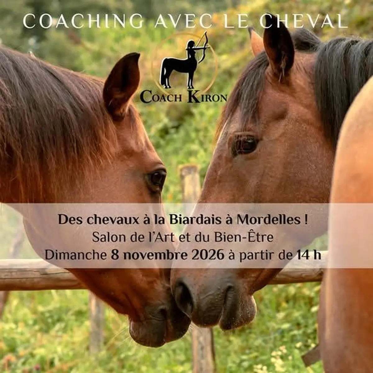 Coaching avec le cheval. Conf d'Emilie Beyou et présence de nos chevaux éduqués