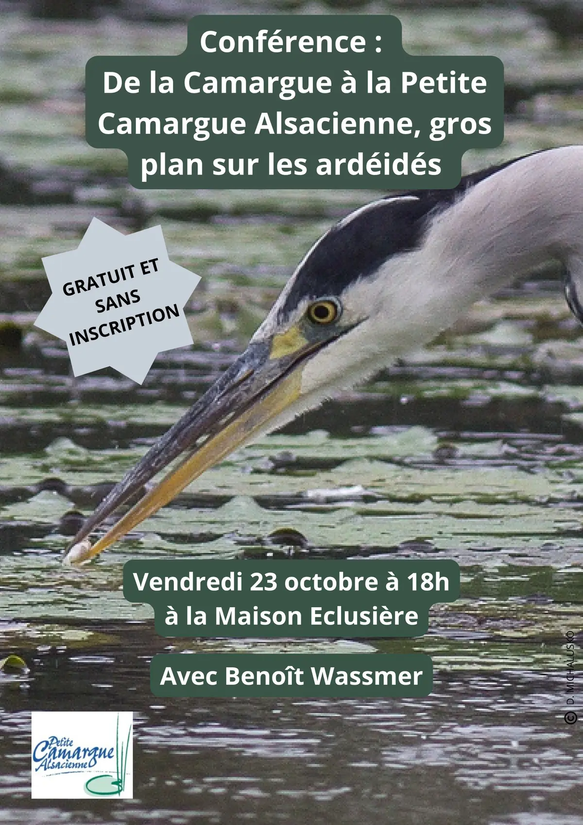 Conférence : Gros plan sur les ardéidés (famille des hérons)