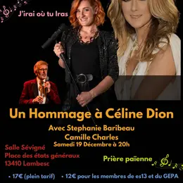 Hommage à Céline Dion    