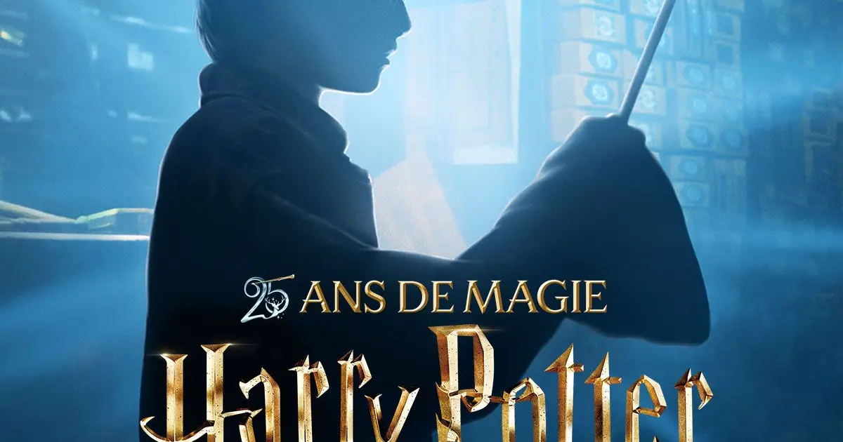 Marathon : Harry Potter