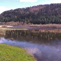 Les richesses géologiques et naturelles du See d'Urbès