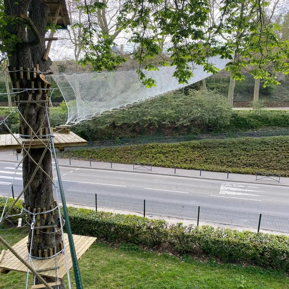 Des plates-formes en bois et un parcours en filet sont construits autour de grands arbres au-dessus d'une route et de buissons dans un parc.