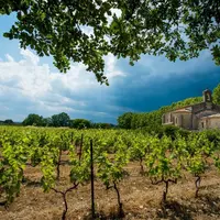 Gaillac &copy; Ophorus