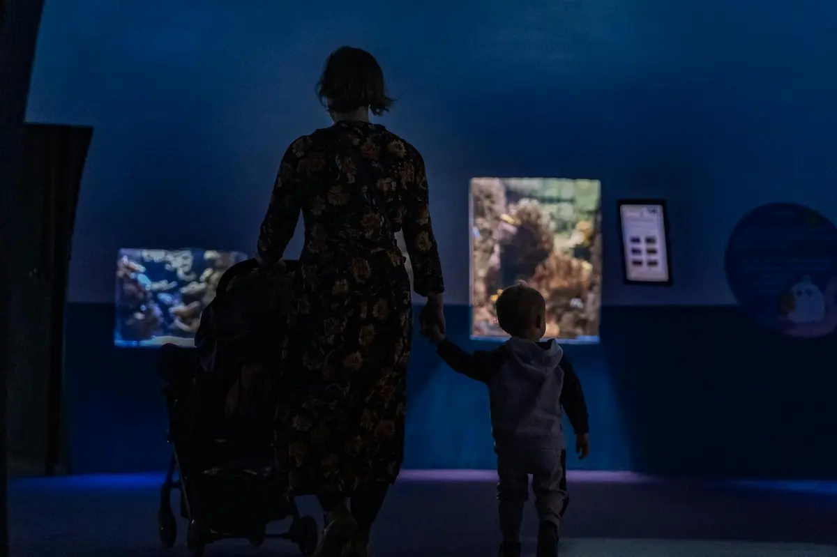 Famille devant des aquariums
