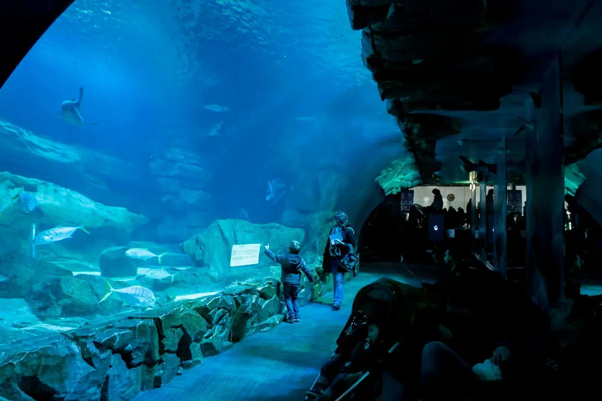 Aquarium de Paris : Pass annuel