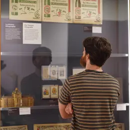 Visite commentée de l'exposition Des images par milliers en français