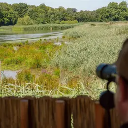 Assistez au réveil des oiseaux aux étangs Nérac à Altenach