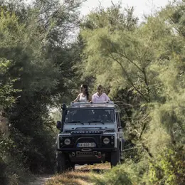 Safari Halloween